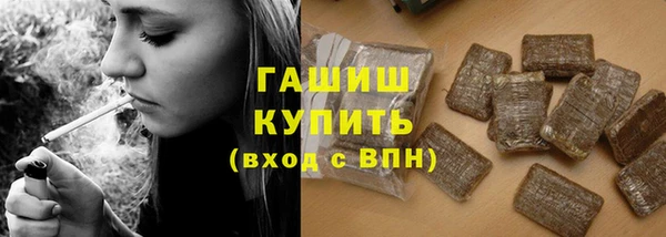 гашик Осташков