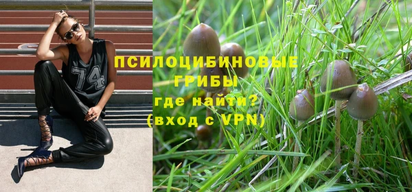 гашик Осташков