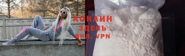 гашик Осташков