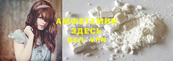 гашик Пересвет