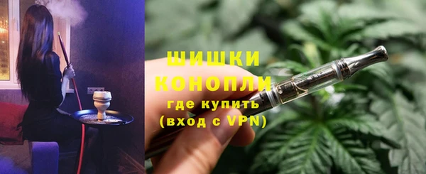 PSILOCYBIN Осинники