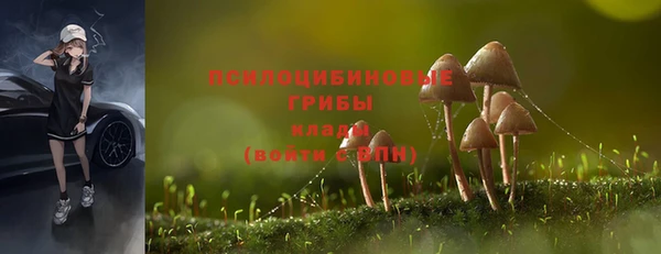 стаф Переславль-Залесский