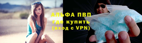 PSILOCYBIN Осинники