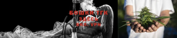гашик Осташков