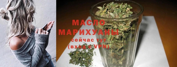 гашик Пересвет