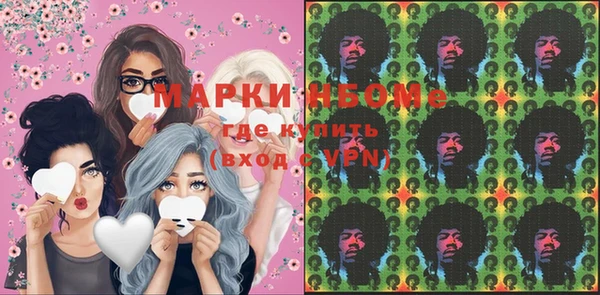 гашик Осташков