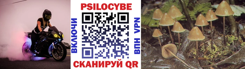 гидра как зайти  купить   Приморско-Ахтарск  Псилоцибиновые грибы Magic Shrooms 